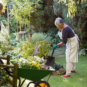 Τα πέντε πιο συνηθισμένα λάθη στην κηπουρική