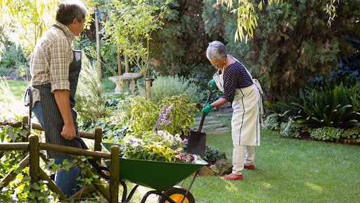 Τα πέντε πιο συνηθισμένα λάθη στην κηπουρική