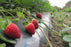 Πακέτο φιλμ εδαφοκάλυψης και σωλήνας στάγδην άρδευσης για φράουλες για 240 τ.μ.