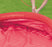 Φουσκωτή πισίνα Summer Waves QS - διαστάσεις 183x51cm -Flamingo